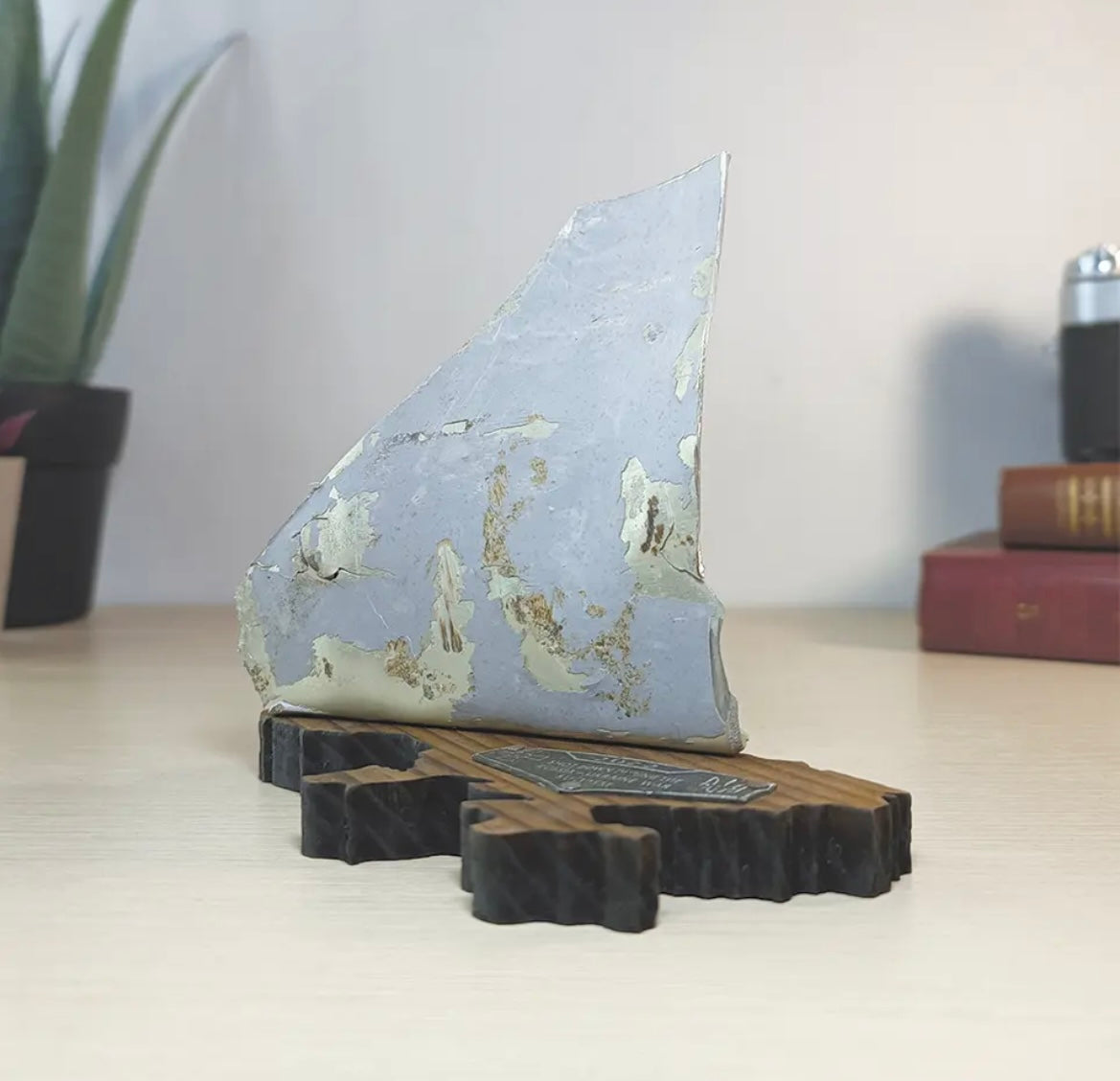 SU-30SM Flanker Desktop Trophy —FREE SHIPPING