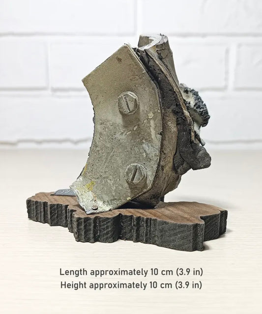 SU-25 Frogfoot Desktop Trophy - 2022 - #2